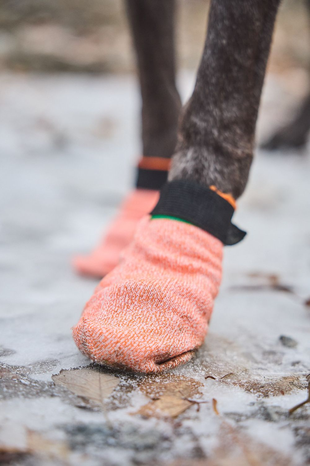 Non-stop Dogwear Protector light socks Orange