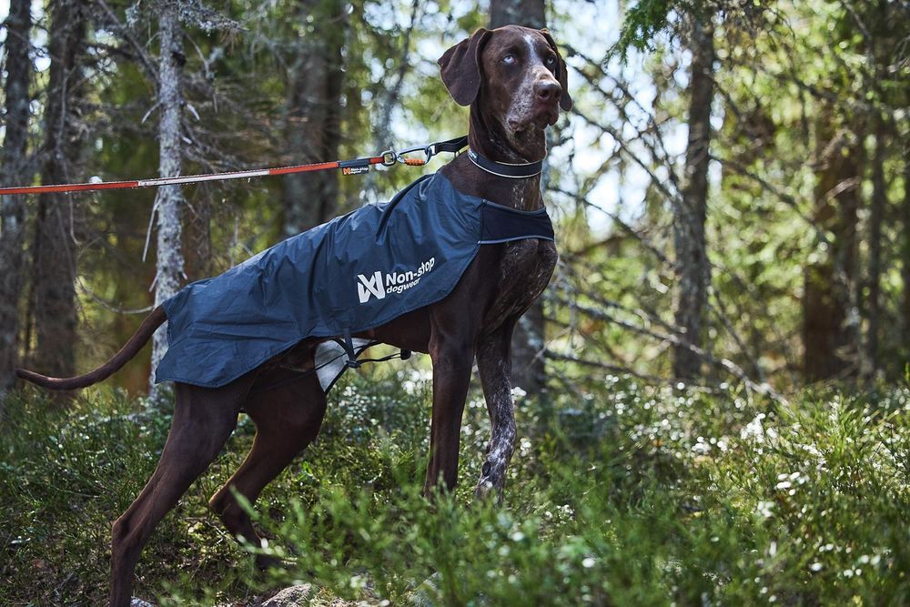 Non-stop Dogwear Trail light dog jacket