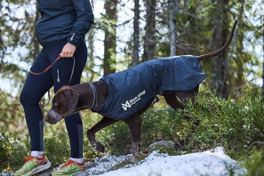 Non-stop Dogwear Trail light dog jacket