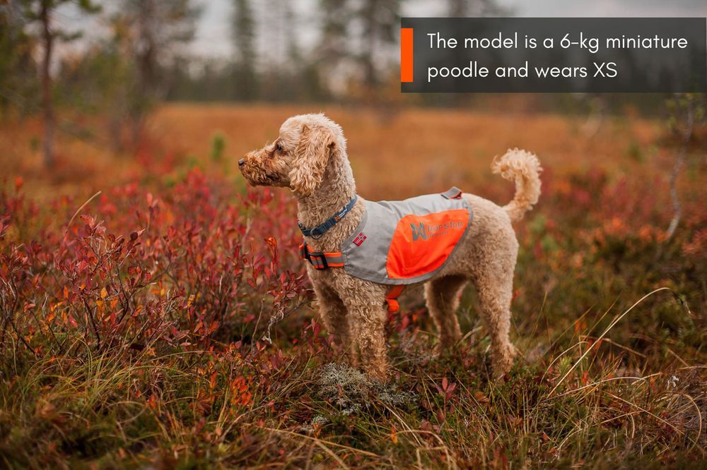 Non-stop dogwear Reflection blanket Orange/Gray