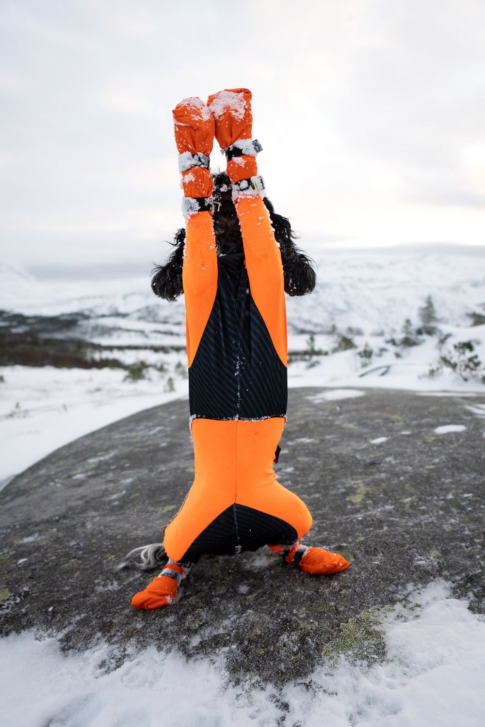 Non-stop Dogwear Contact bootie high