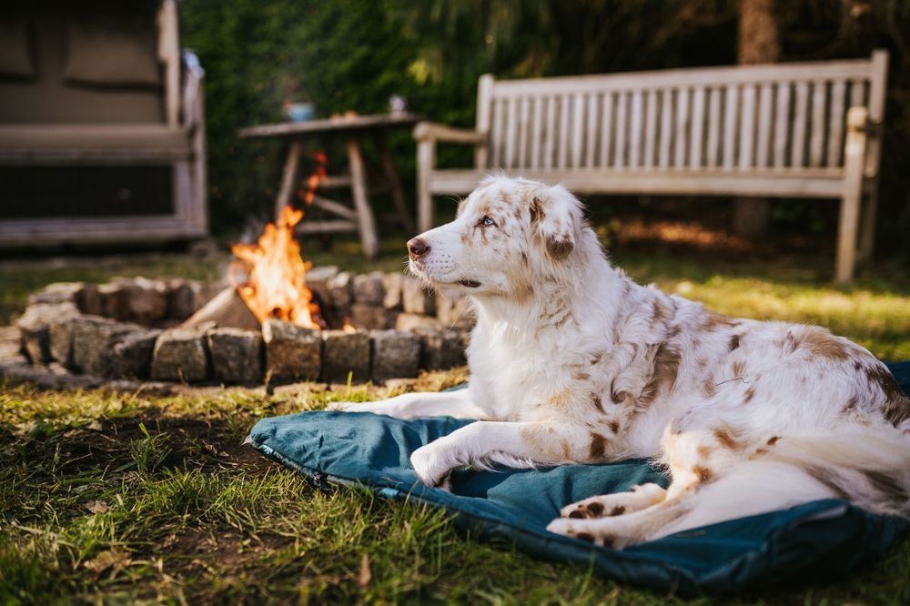 Non-stop Dogwear Trekking dog bed