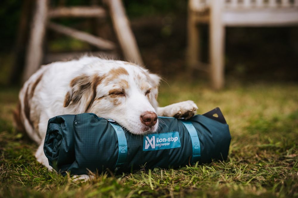 Non-stop Dogwear Trekking dog bed