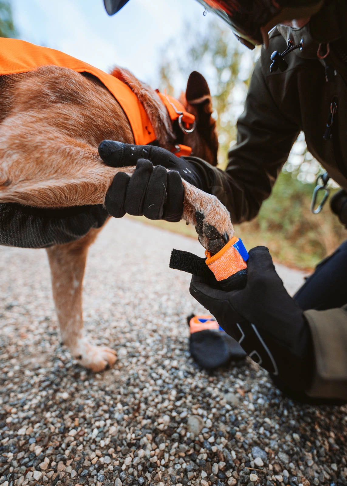 Non-stop Dogwear Protector bootie