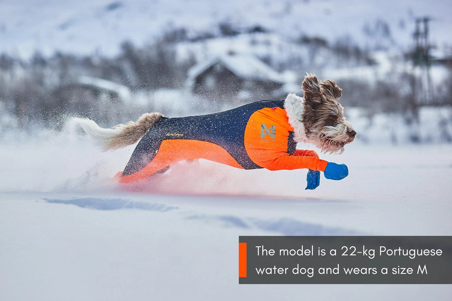 Non-stop Dogwear Snöskydd Hane Orange