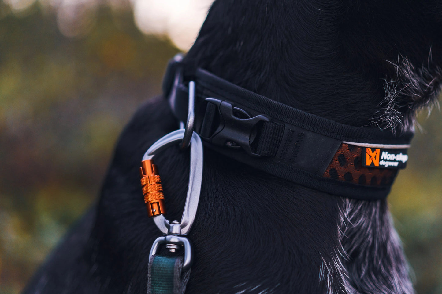 Non-stop Dogwear Rock Adjustable collar 3.0