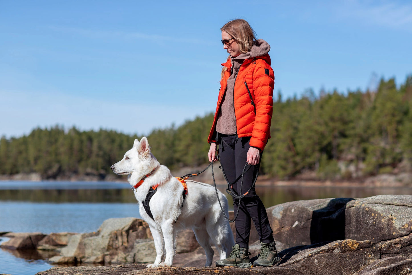 Non-stop Dogwear Rock leash