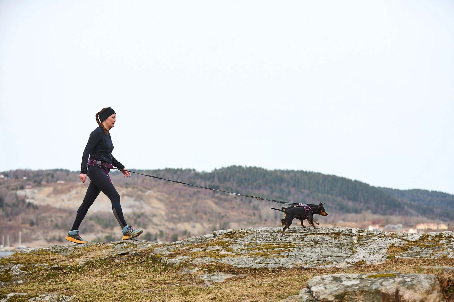 Non-stop Dogwear Trekking belt 2.0 Svart/Grå