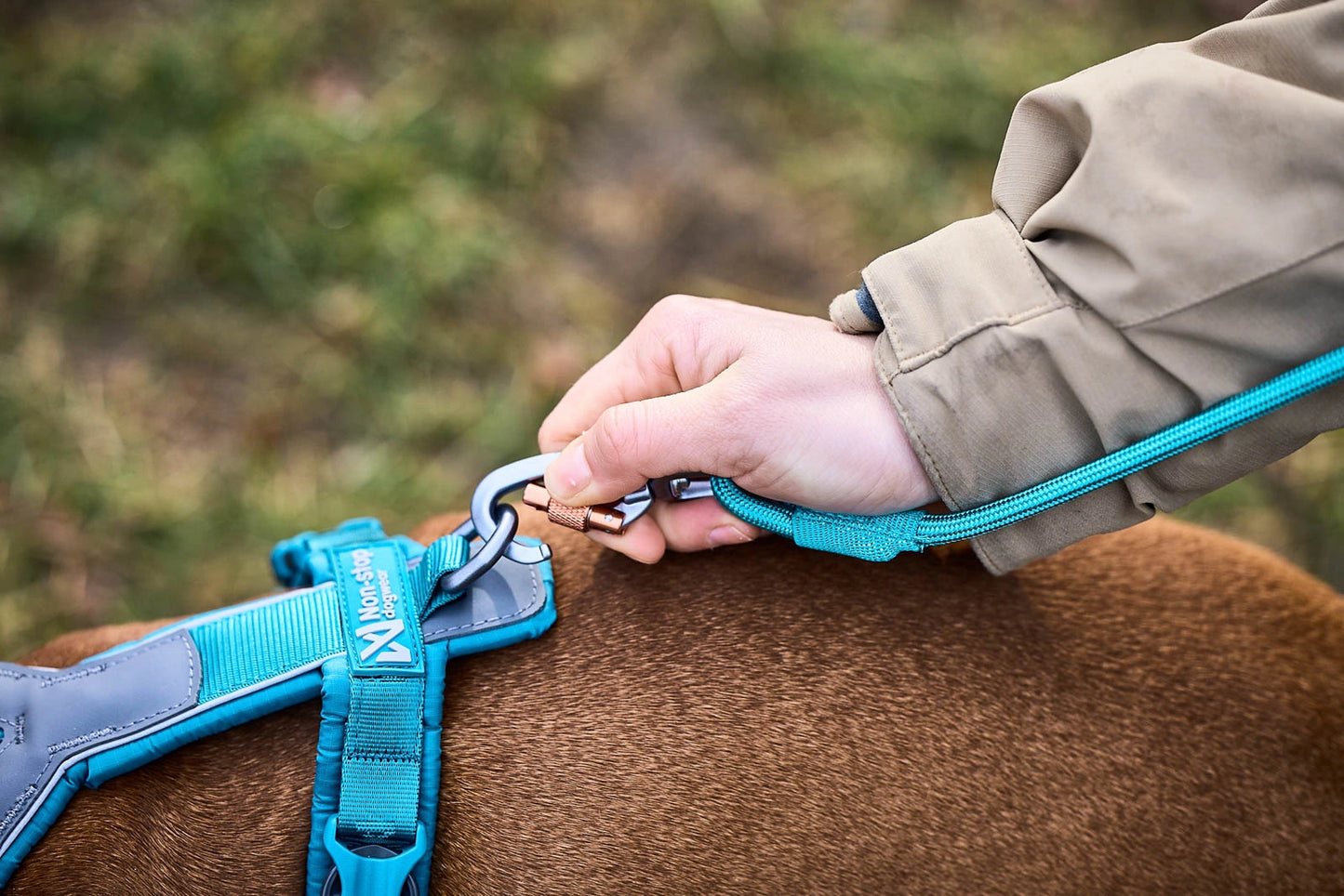 Non-stop Dogwear Trekking rope leash Teal