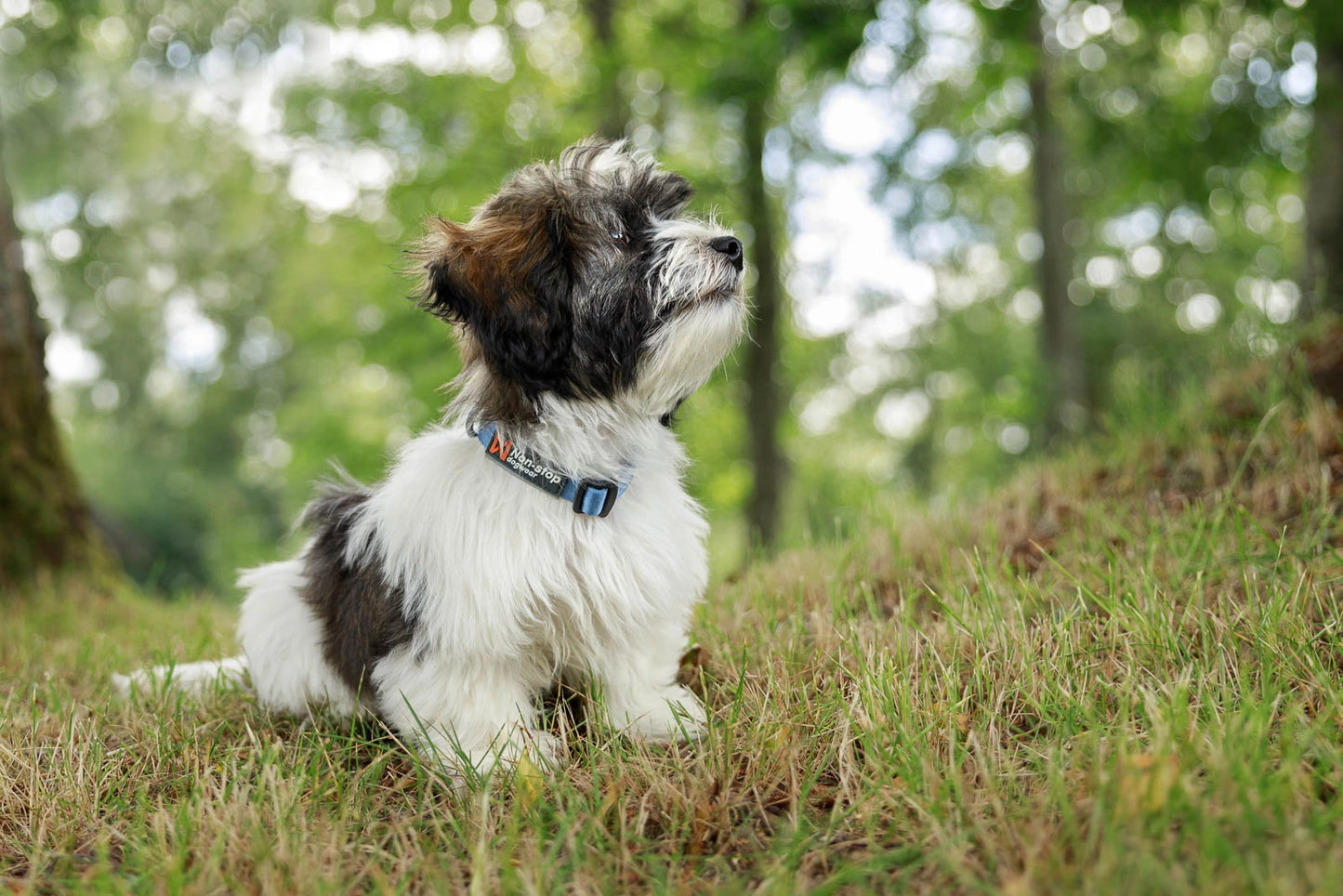 Non-stop Dogwear Tumble collar Blå