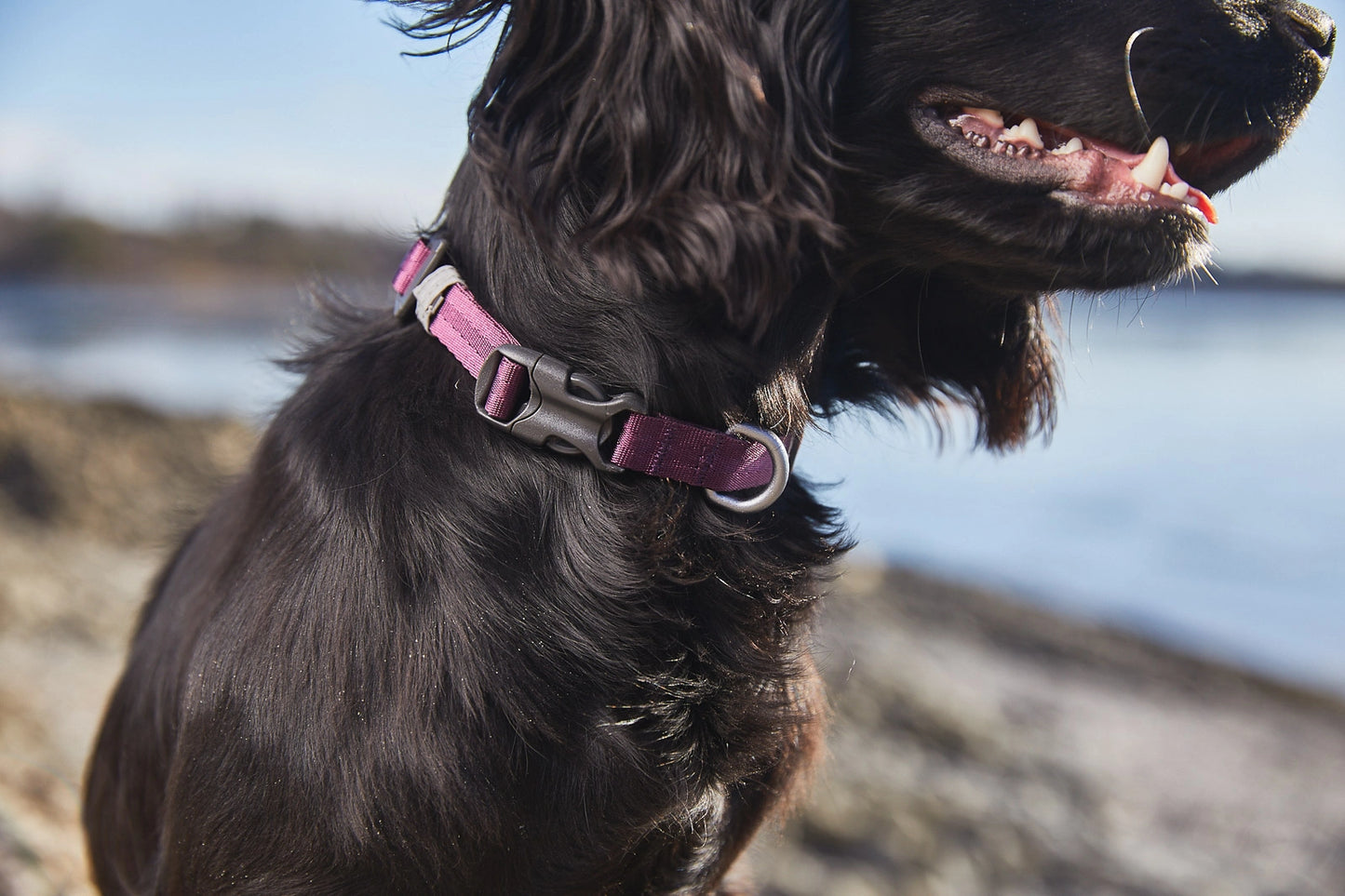 Non-stop Dogwear Tumble collar Lila